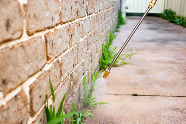 Best Pest Exclusion Services  in La Grange, TX